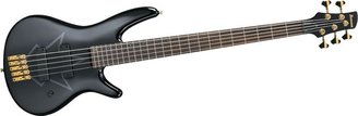 Peter Iwers signature Ibanez 5 string bass